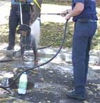 Image of the family pet a Rottweiler being hosed down and decontaminated
